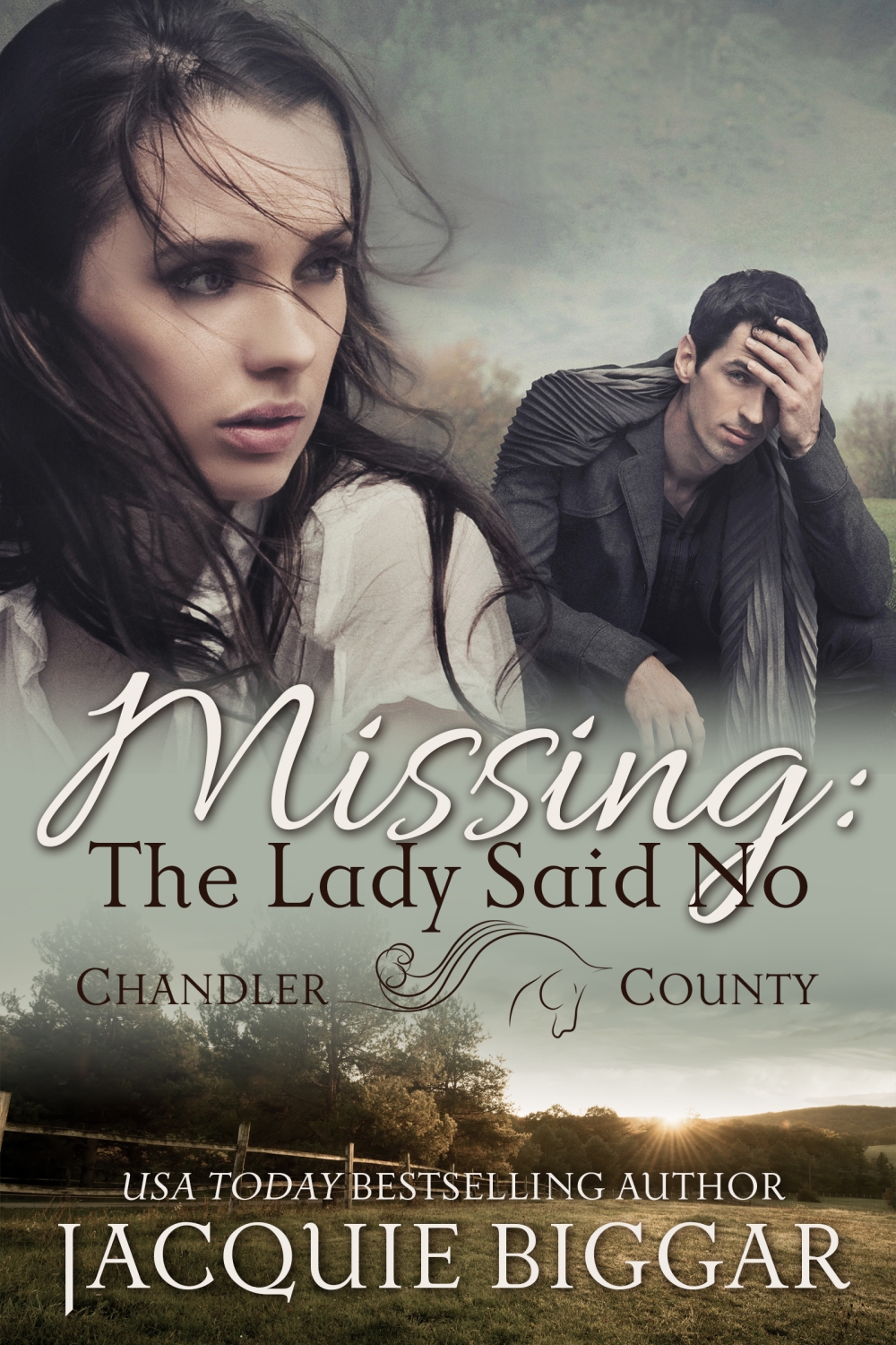 missing-the-lady-said-no-ebook